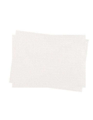 TOVAGLIETTA 30X40 CARTA BIANCA 2.500pz