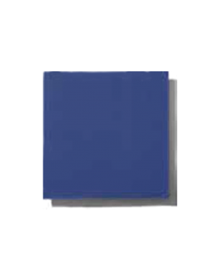 TOVAGLIOLO 38X38 2V BLU PZ.720