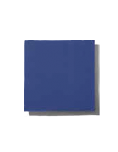 TOVAGLIOLO 38X38 2V BLU PZ.720